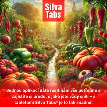 Facebook SilvaTabs