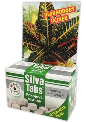 silva-tabs-houseplants